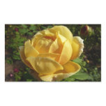 Yellow English Rose Rectangular Sticker