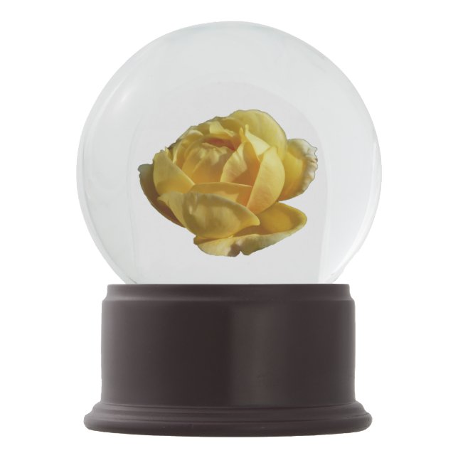Yellow English Rose Snow Globe (Front)