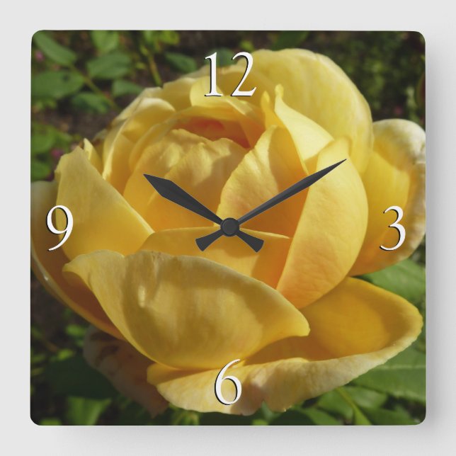 Yellow English Rose Square Wall Clock (Front)