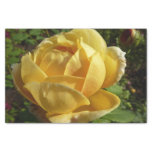Yellow English Rose Tissue Paper