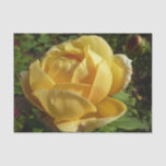 Yellow English Rose Tissue Paper