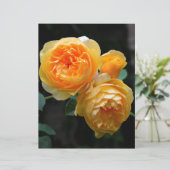 Yellow English Roses (Standing Front)