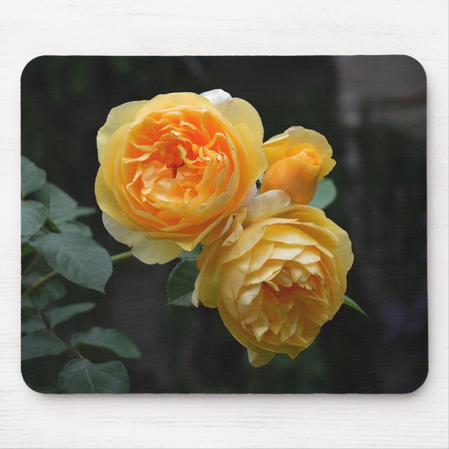Yellow English Roses Mouse Pad (Front)