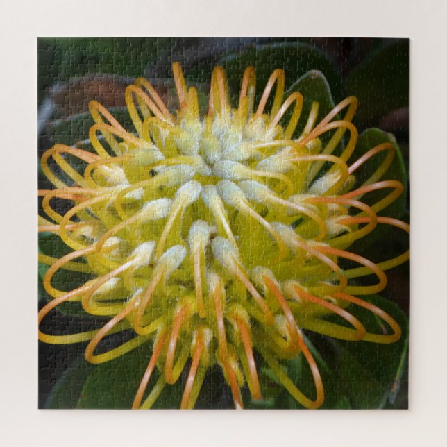 Yellow Exotic Flower Pincushion Protea Jigsaw Puzzle (Vertical)