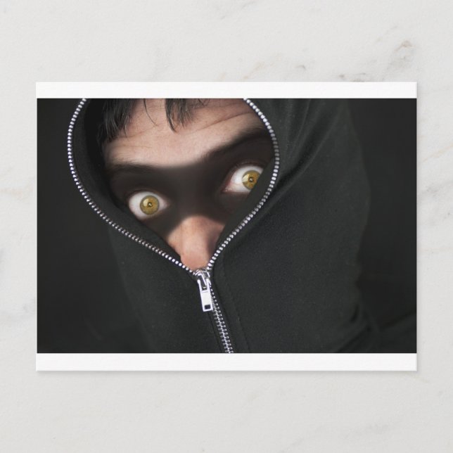 Yellow-Eyed Bandit Postcard (Front)