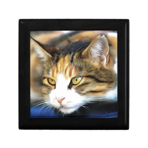 Yellow Eyed Calico Cat Realistic Pet Portrait Gift Box
