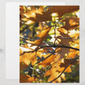 Yellow Fall (Front/Back)