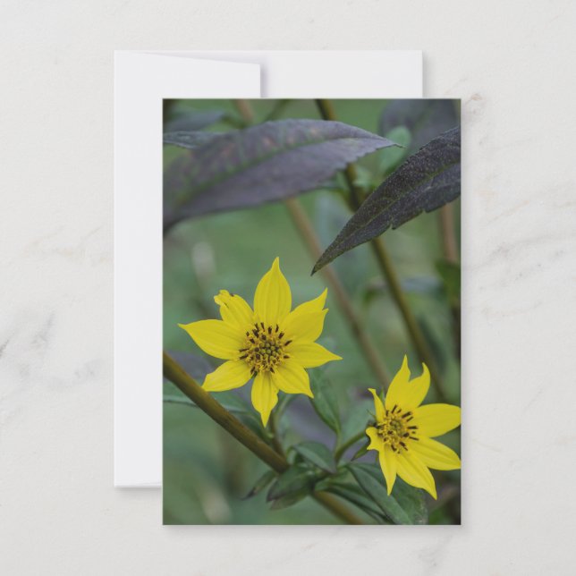 Yellow Fall Flower Note Card (Front)