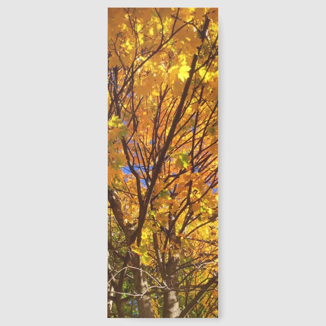 Yellow Fall Foliage Bookmarks (Front)