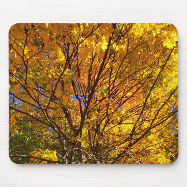 Yellow Fall Foliage Mouse Pad (Front)