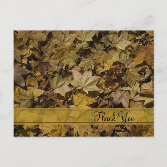 Yellow Fallen Leaves Thank You Postcard (Front)