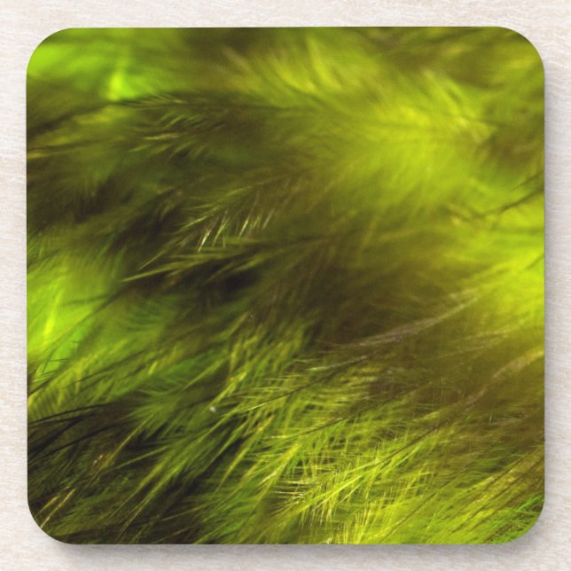 Yellow Feathers Drink Coaster (Front)