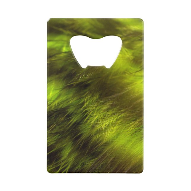 Yellow Feathers in Shadows Credit Card Bottle Opener (Front)