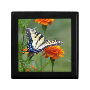 Yellow female Eastern Tiger Swallowtail Jewelry Box