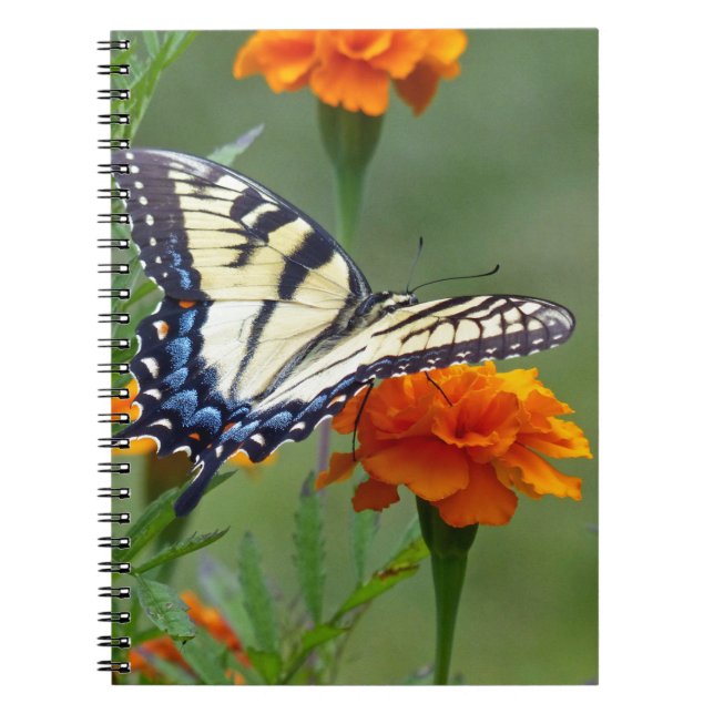 Yellow female Eastern Tiger Swallowtail Notebook (Front)