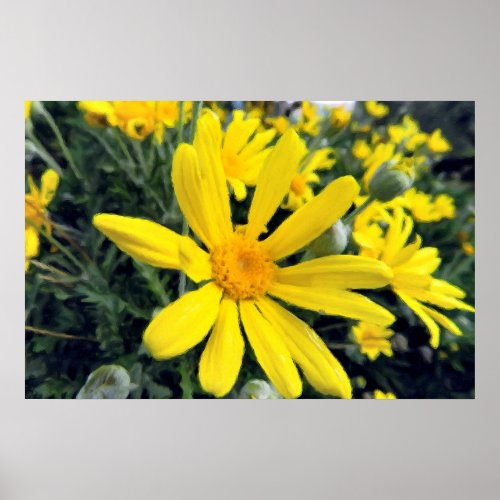 Yellow field flower poster
