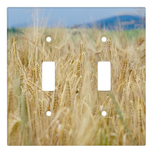 Yellow field light switch cover