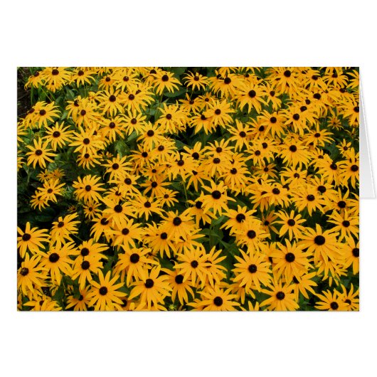 Yellow Field of Daisies Cards (Front Horizontal)