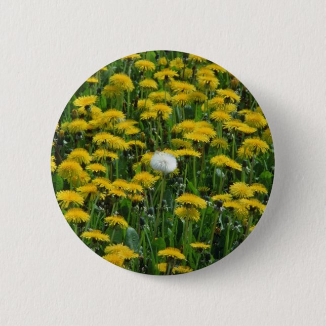 Yellow Field of dandelions in the Netherlands flow Pinback Button (Front)