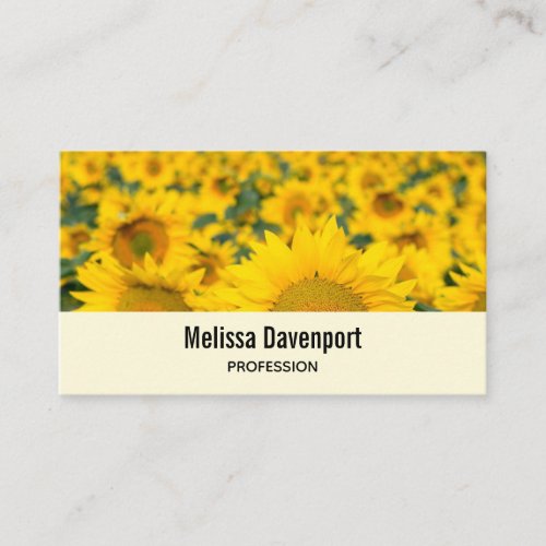 Yellow Field of Sunflowers Photograph Business Card