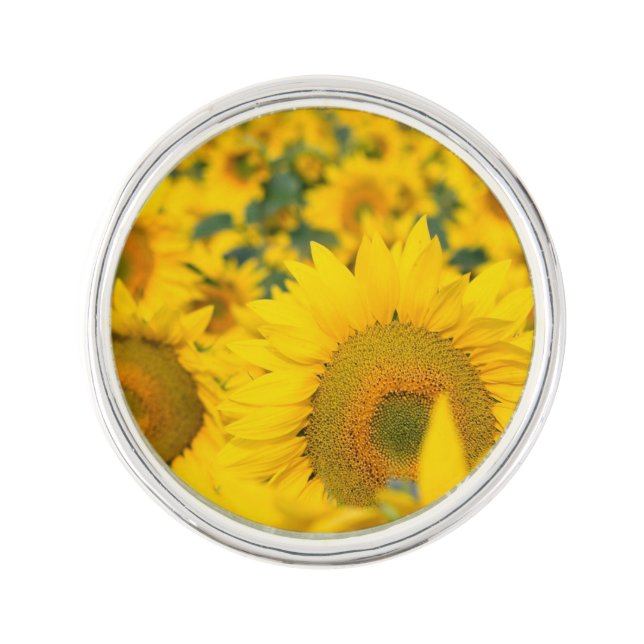 Yellow Field of Sunflowers Photograph Lapel Pin (Front)