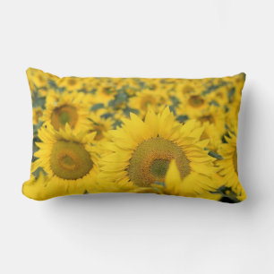 Yellow Field of Sunflowers Photograph Lumbar Pillow