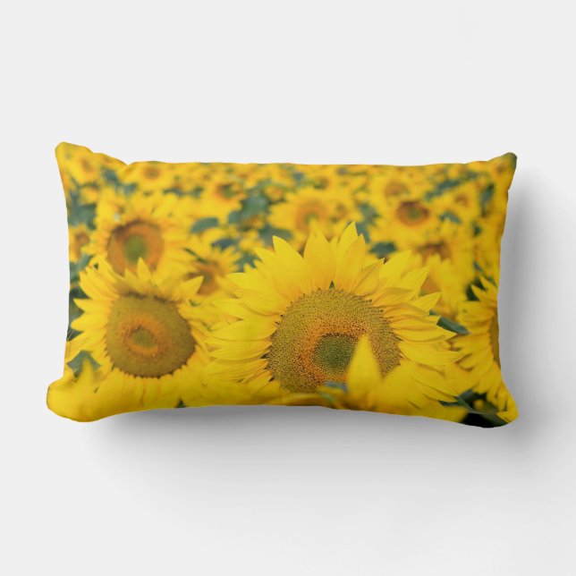 Yellow Field of Sunflowers Photograph Lumbar Pillow (Front)