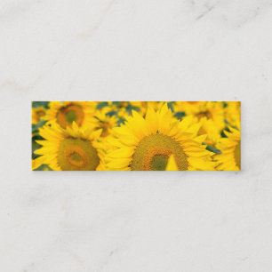 Yellow Field of Sunflowers Photograph Mini Business Card