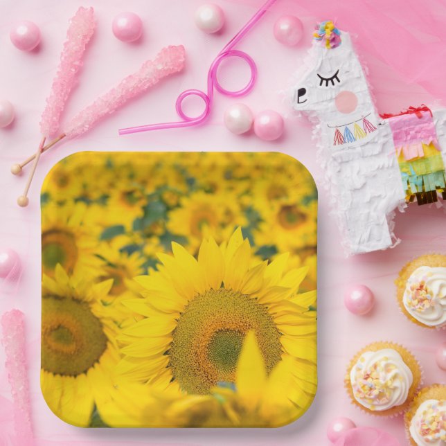Yellow Field of Sunflowers Photograph Paper Plates (Party)