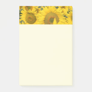 Yellow Field of Sunflowers Photograph Post-it Notes