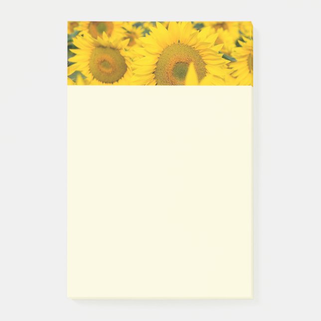 Yellow Field of Sunflowers Photograph Post-it Notes (Front)