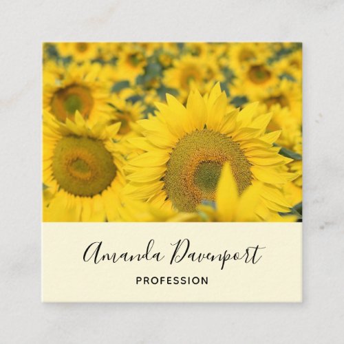 Yellow Field of Sunflowers Photograph Square Business Card