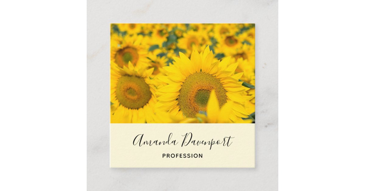 Yellow Field of Sunflowers Photograph Square Business Card | Zazzle