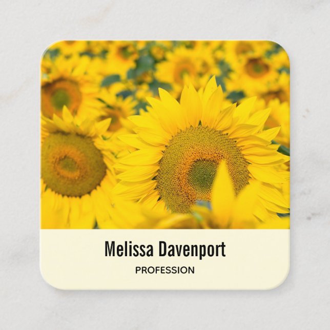 Yellow Field of Sunflowers Photograph Square Business Card (Front)