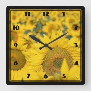 Yellow Field of Sunflowers Photograph Square Wall Clock