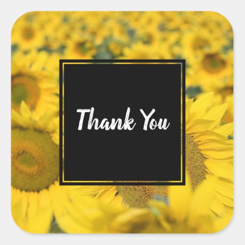 Yellow Field of Sunflowers Photograph Thank You Square Sticker