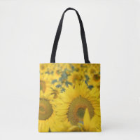 Yellow Field of Sunflowers Photograph