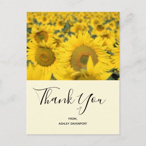 Yellow Field of Sunflowers Thank You Postcard