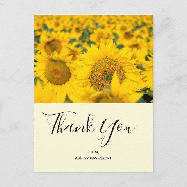Yellow Field of Sunflowers Thank You Postcard (Front)