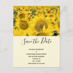 Yellow Field of Sunflowers Wedding Invitation Postcard