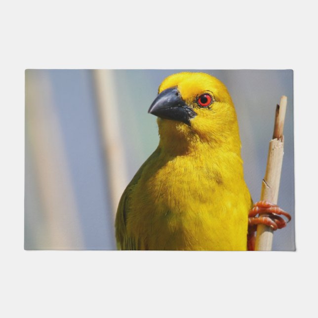 Yellow Finch Doormat (Front)