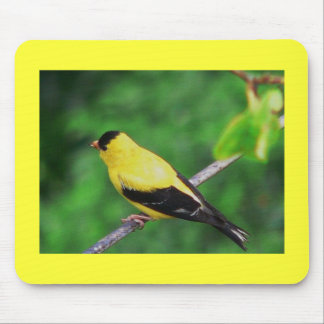 Yellow Finch Mouse Pad