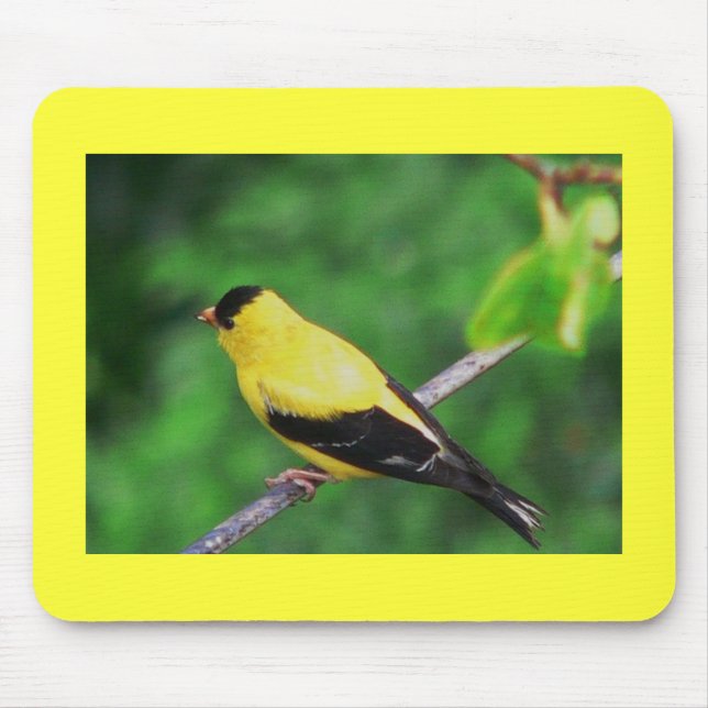 Yellow Finch Mouse Pad (Front)
