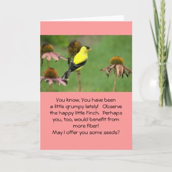 Yellow Finch On Coneflower/humor/friendship Card by whatawonderfulworld at Zazzle