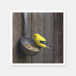 Yellow Finch on Rusty Ladle Napkins