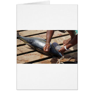 yellow fins tuna cards