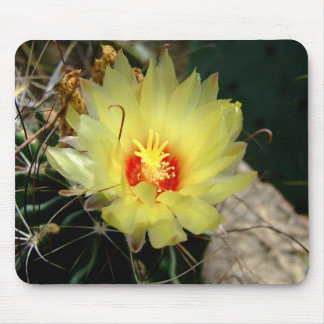 Yellow fishhook cactus flower mouse pad (Front)