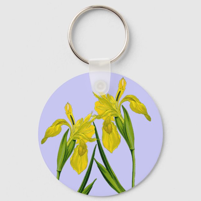 Yellow Flag Iris Botanical Drawing Keychain (Front)