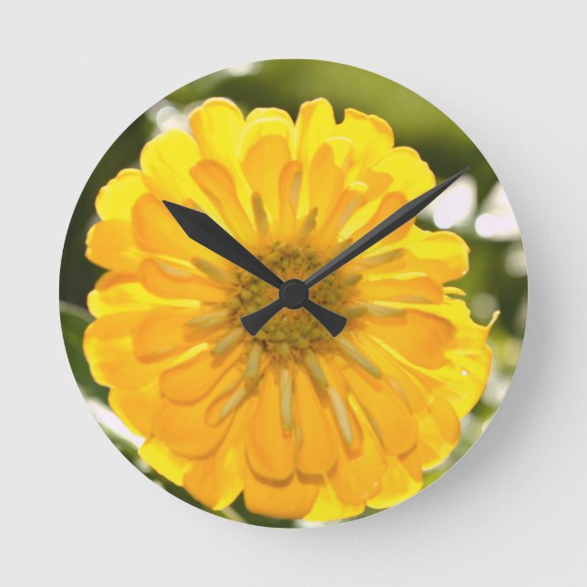 Yellow floral flower zinnia daisy photo round clock (Front)