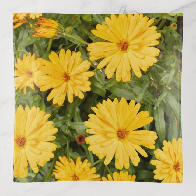 Yellow Floral Trinket Tray (Front)